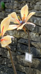 Artists/Images/ResizedSquare150/danny beinsberger_image_bloem 4.jpg